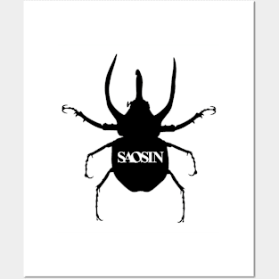 Saosin Beetle Posters and Art